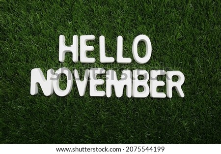 Hello November alphabet letter on green grass background
