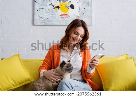 pleased woman looking at fluffy cat while sitting on yellow couch with mobile phone