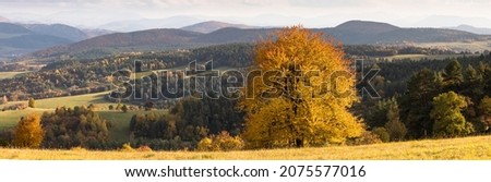 a yellow-tinted solo tree dominating a meadow amid beautiful scenery, mountains alternating with valleys, pastures with forests, autumn hues and light falling on the landscape