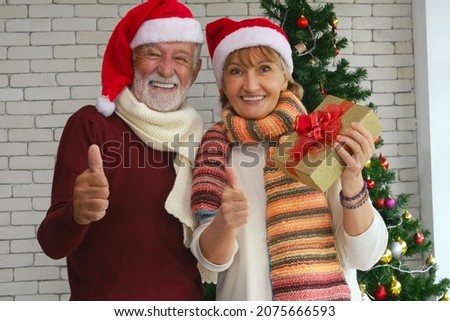 Senior caucasian couple man and woman with gift box to celebrate Christmas together with decorated Christmas tree. Merry Christmas and Happy Holidays. Christmas holiday, happy new year celebration.