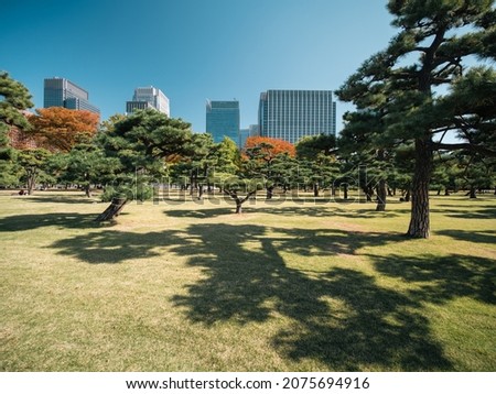 A view of the outer garden of the Imperial Palace in autumn. Tokyo, Japan.
