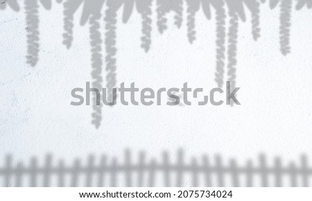 Tropical leaves natural shadow overlay on white texture background, for overlay on product presentation, backdrop and mockup, 
