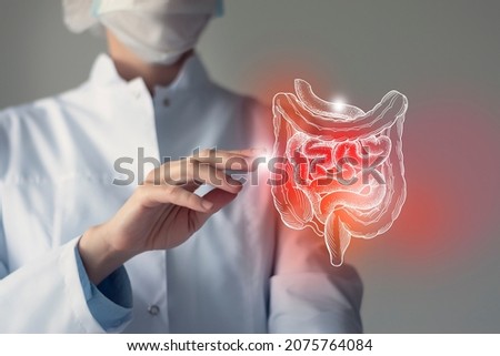 Female doctor holding virtual Intestine in hand. Handrawn human organ, blurred photo, raw photo colors. Healthcare hospital service concept stock photo Royalty-Free Stock Photo #2075764084
