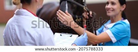 Female veterinarian holding test tube in front of thoroughbred horse Royalty-Free Stock Photo #2075788333