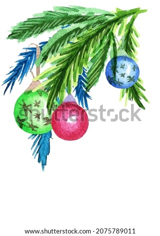 Watercolor branches with berries and coniferous leaves.