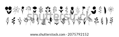 A set of leaf and flower silhouettes. Isolated vector leaves on a white background. Handmade decorative botanical elements.