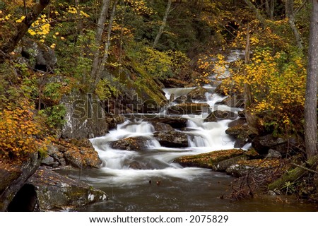 A small cascade in the forests of West Virginia. Taken with a slow shutter speed to smooth the water. The stream is framed with the yellow leaves of autumn.