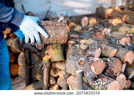 Man arranging wood logs on stack. Split cut firewood to dry. 
Male hands stacking logs of different lengths in the firewood store Royalty-Free Stock Photo #2075833159