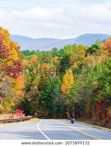 Lone motorcycle rider on a highway through the Appalachian mountains with bright autumn folliage all around.
