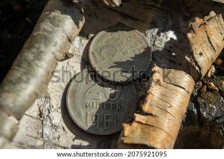 Old coins in the forest on a piece of birch bark lying on green moss
