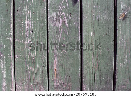 mesh texture of old wooden door green