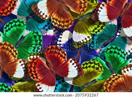 Colors of rainbow. Pattern of multicolored morpho butterflies. Bright butterflies texture background