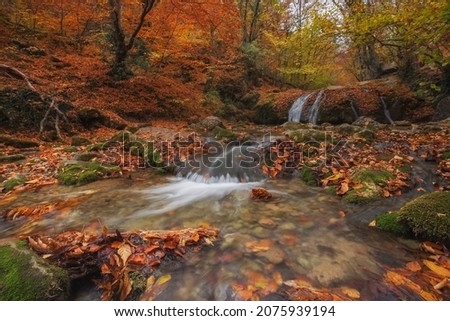 Beautiful autumn forest. Autumn landscape. Jur-Jur (Dzhur-Dzhur) waterfall in the mountains of Crimea.