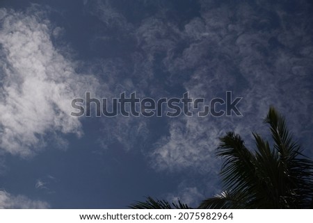 undersaturated blue sky with clouds and coconut tree, in and out of focus, with some bugs flying, selective focus, noise