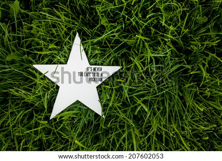 white rustic wooden star on on the grass with the inspirational funny quote "it's never too late to be a rock star"