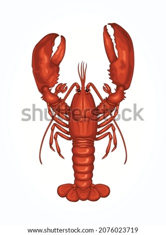 Lobster Seafood Animal Vector Illustration