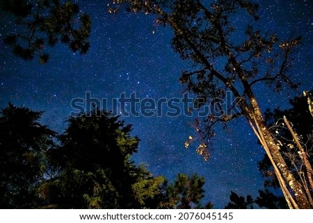 sky at night with stars and forest around
