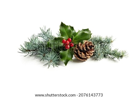Christmas decoration of holly berry and pine cone. Traditional festive decoration on white background.
