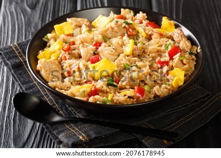 Hearty tasty Arroz Chaufa Peruvian Style Fried Rice close up in the bowl on the table. Horizontal
 Royalty-Free Stock Photo #2076178945