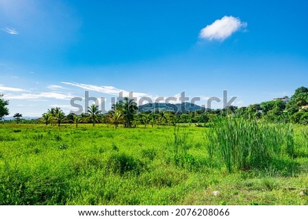 landscape green vegetation dominican republic. good weather day Royalty-Free Stock Photo #2076208066