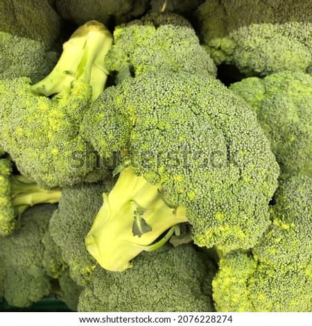 Macro photo green broccoli. Stock photo green broccoli vegetable background