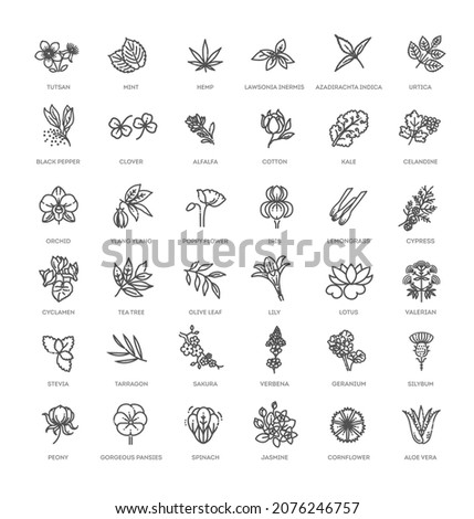 Set of flowers and herbs icon in flat design. Vector collection Royalty-Free Stock Photo #2076246757