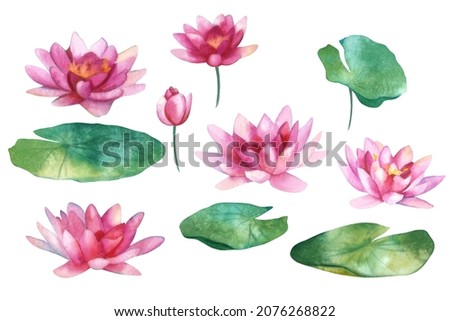 Watercolor template. Beautiful motifs for decoration design. Watercolor  waterlily clipart. Artistic backdrop. Watercolor in japanese style on soft colorful background. Watercolor illustration.