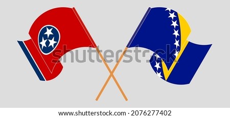 Crossed and waving flags of Bosnia and Herzegovina and The State of Tennessee. Vector illustration
