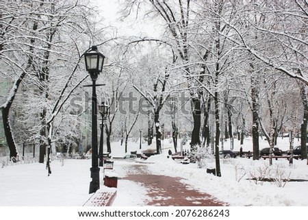 A snowy sidewalk goes into distance in winter park at freezing cold day. Walking path in city park with bare trees covered with white snow. Wintry landscape. Black street lamp for lighting street. Royalty-Free Stock Photo #2076286243