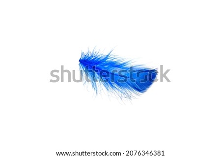 Blue feather isolated on a white background.