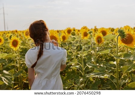 woman with pigtails In a field with blooming sunflowers unaltered