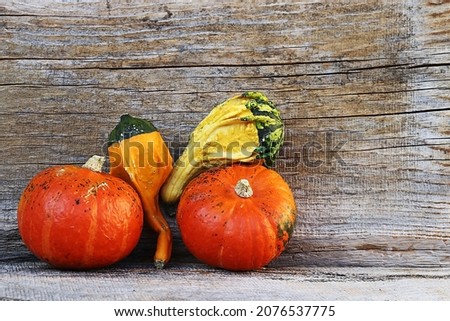 Four pumpkins on a weathered wooden background 