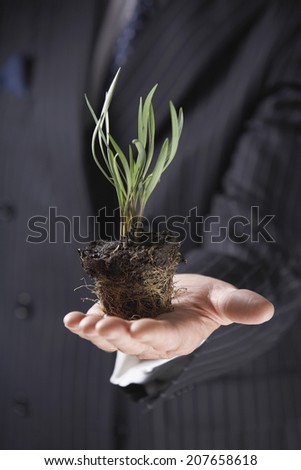 Closeup of a midsection businessman holding plant without pot