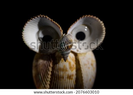 Figure of an owl made of seashells on a dark background
