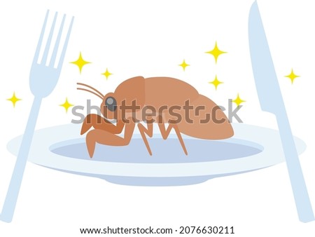 Illustration of a cicada larva on a plate as an insect food