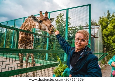  A young happy man feeds a giraffe at the zoo