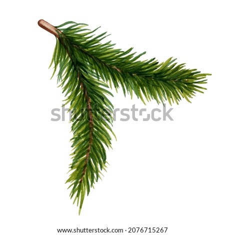 Watercolor spruce branch. Xmas decoration isolated on white background. Cute Christmas, New year element for greeting cards, textile, wrapping paper, banners, sticker design, kids playroom wall decor.