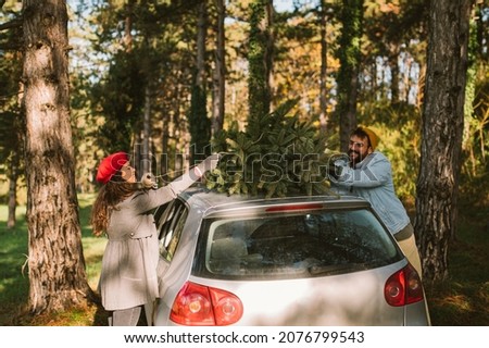 Lovely smiling couple has picked up the Christmas tree on a sunny December day, packing it up on the trunk of the car while flirting