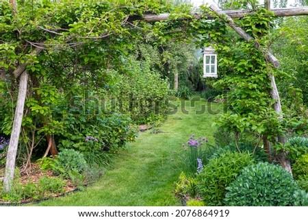 Hardy kiwi trellis in permaculture garden, perennials. Royalty-Free Stock Photo #2076864919