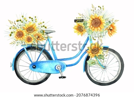 Sunflowers bouquet, blue bike, bicycle.  Isolated elements on a white background. Hand painted in watercolor.