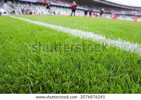 White stripe on green grass on the playing field