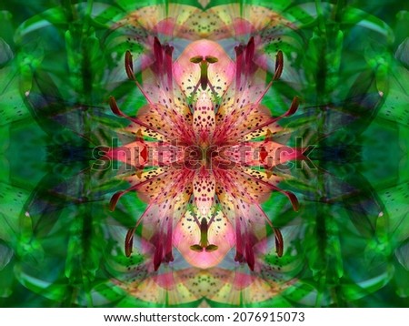 lovely symmetrical floral theme patterns in kaleidoscope