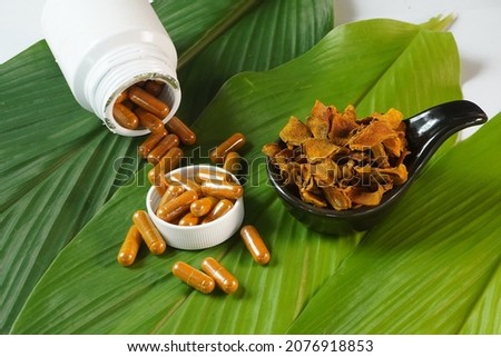 Thai herbal turmeric Used to treat various diseases Turmeric picture Turmeric tree
