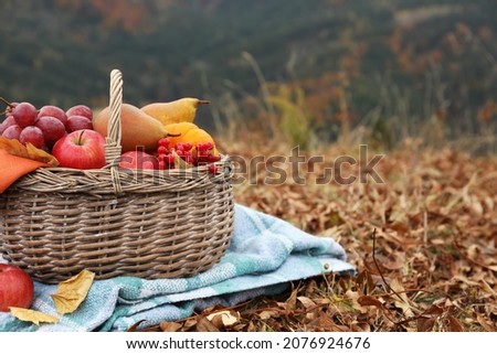 Wicker picnic basket with fruits and plaid on autumn leaves in nature, space for text