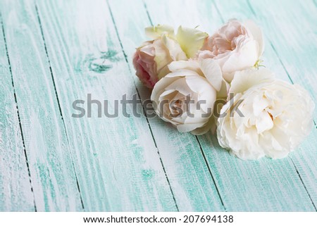 Fresh roses on mint background. Selective focus, horizontal.