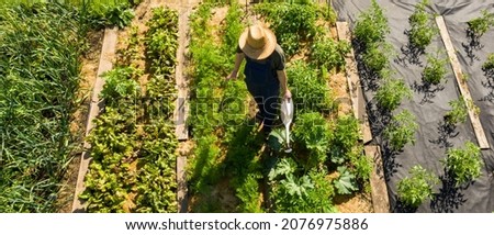 A young man in a straw hat is standing in the middle of his beautiful green garden, covered in black garden membrane, view from above. A male gardener is watering the plants with watering can Royalty-Free Stock Photo #2076975886