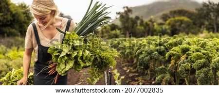 Happy organic farmer holding freshly picked vegetables in an agricultural field. Self-sustainable young woman gathering fresh green produce in her garden during harvest season. Royalty-Free Stock Photo #2077002835