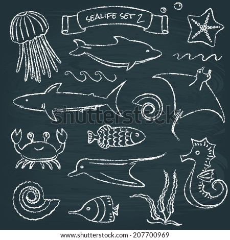 Chalkboard collection of hand drawn sea animals