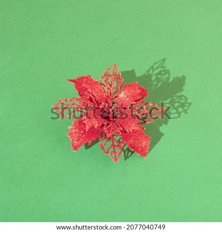 red christmas flower ornament with sunny shadow against green background with copy space. adorable creative decoration idea