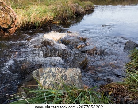 The Crni Rzav stream in the valley in Vodice on the Zlatibor mountain in Serbia